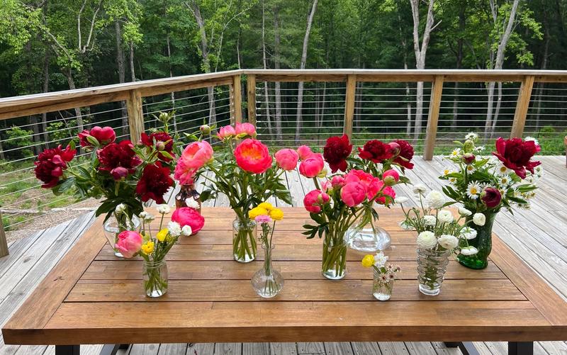 peonies in vases on wooden table