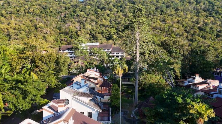 Sustainable Developments: The Future of Luxury Real Estate in Africa