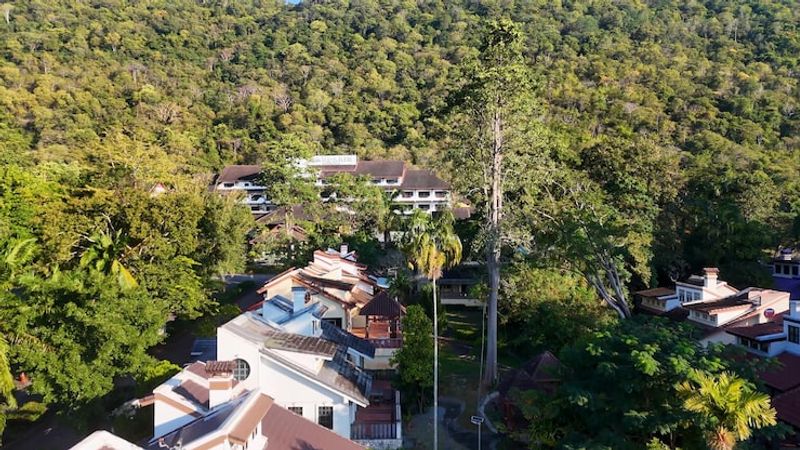 Sustainable Developments: The Future of Luxury Real Estate in Africa