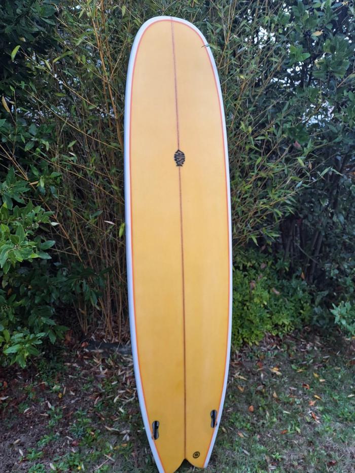 Planche Fish Noserider