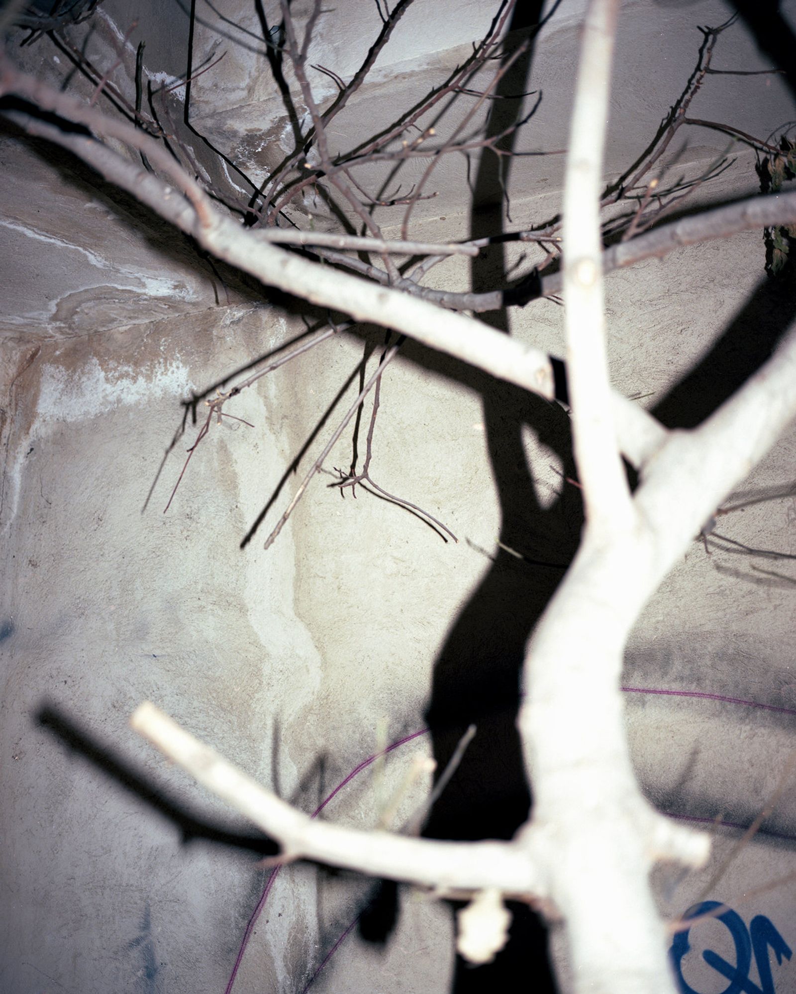 Bucharest — 30