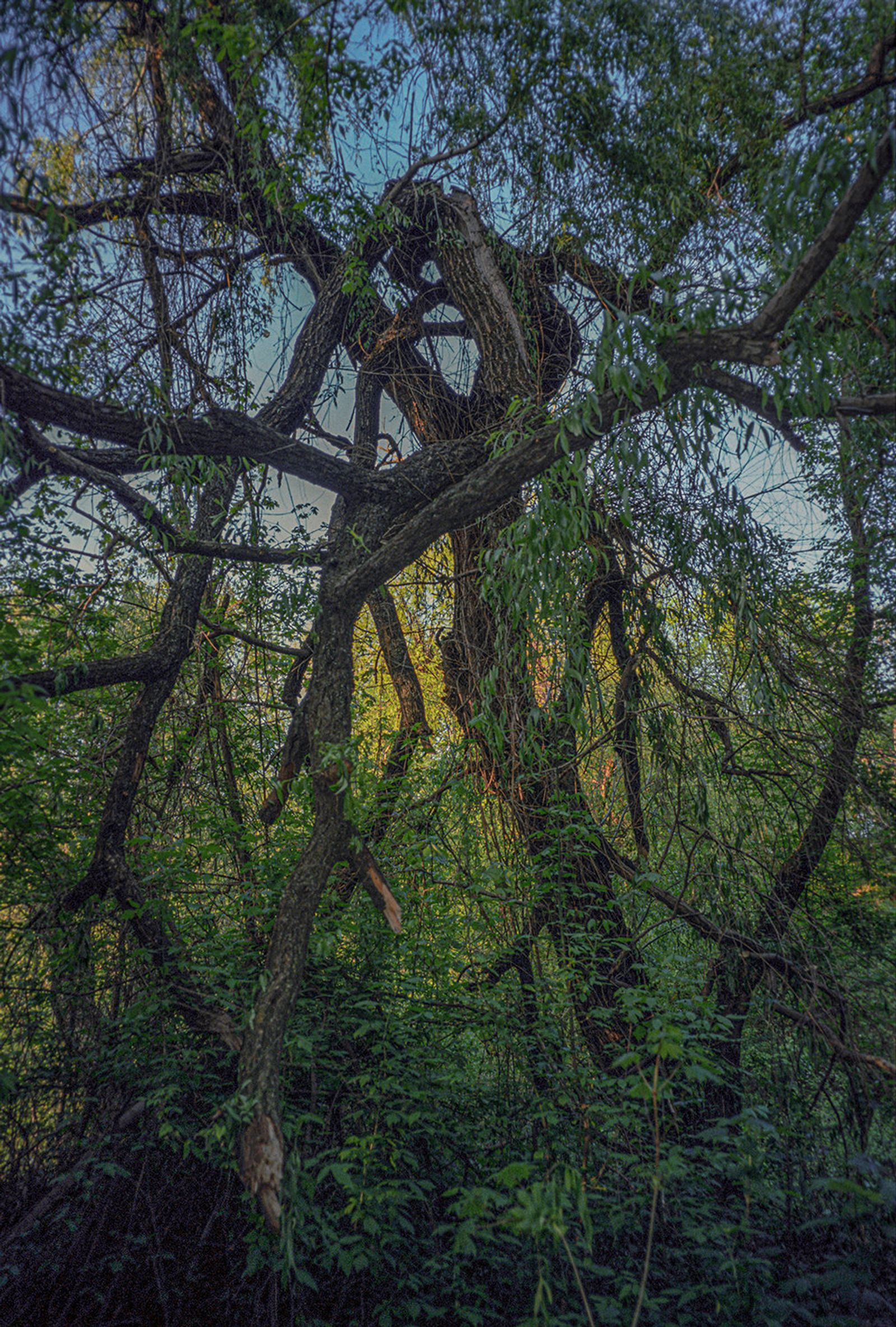 Bucharest — 119