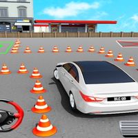 Fish Parking 3D
