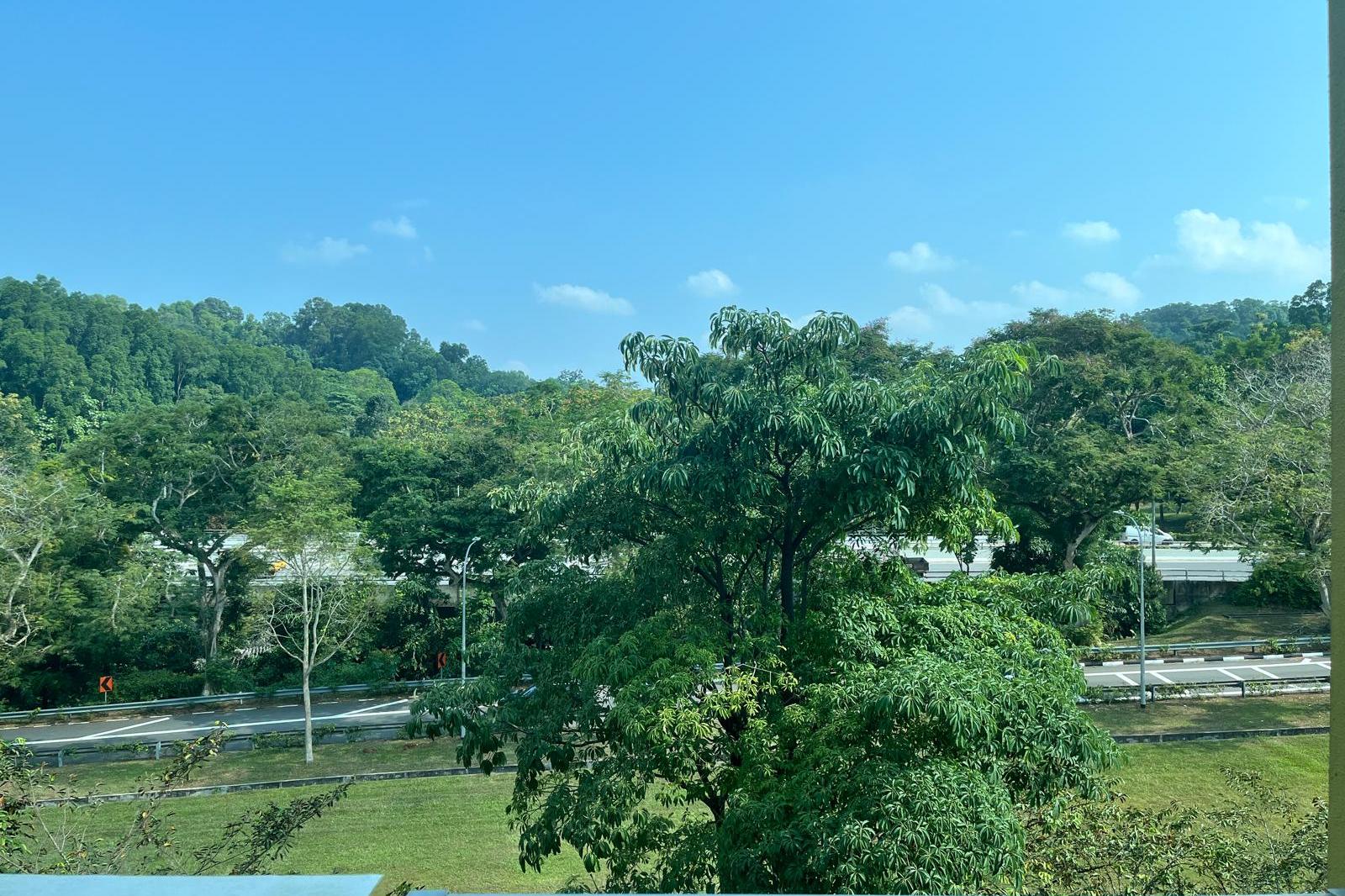 Parc Rosewood
