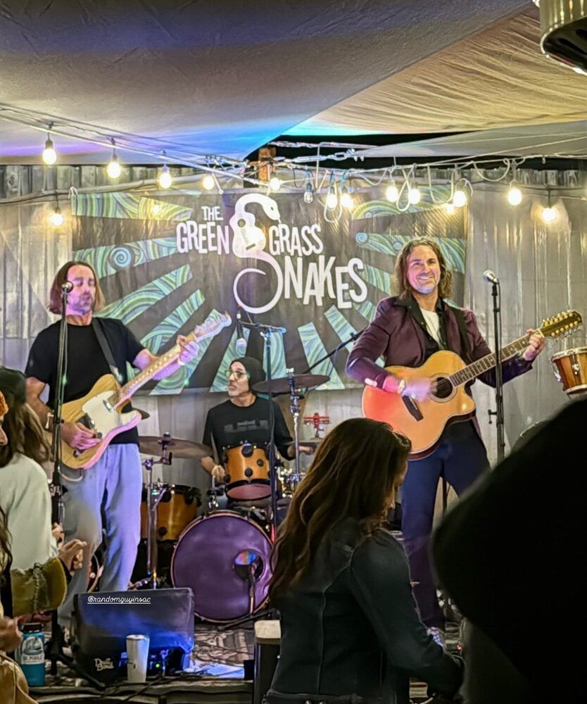 Green Grass Snakes live performance