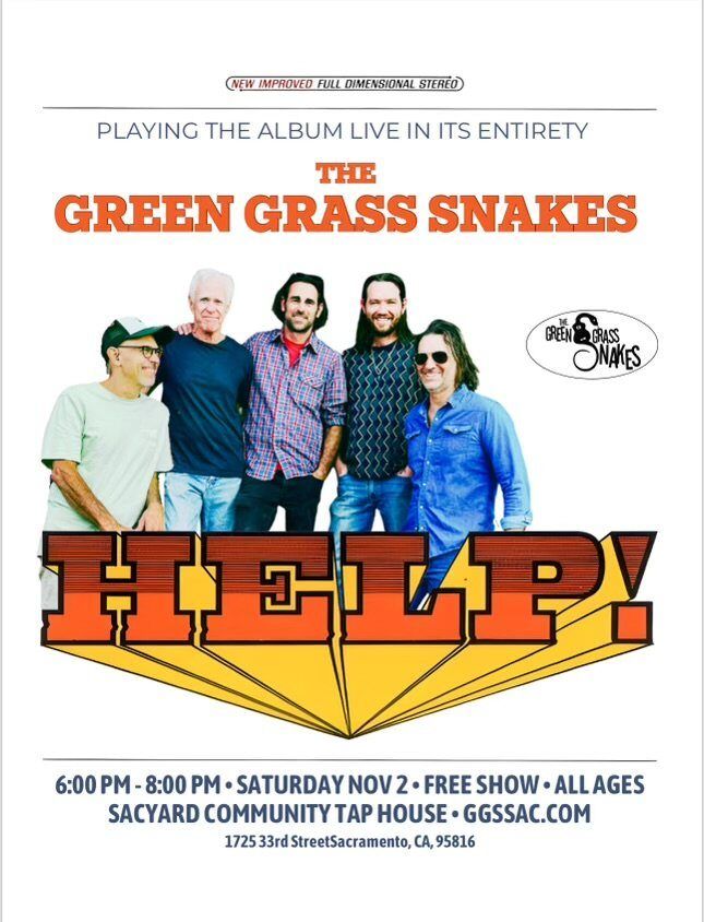 Green Grass Snakes play HELP! poster