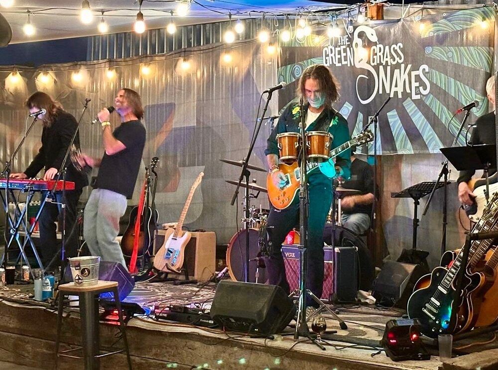 Green Grass Snakes full band on stage