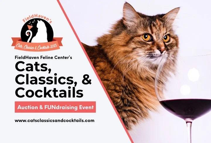 Fieldhaven Feline Center Cat Rescue Fundraiser