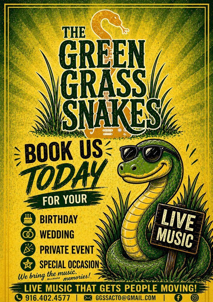 Green Grass Snakes — Book Us Today poster