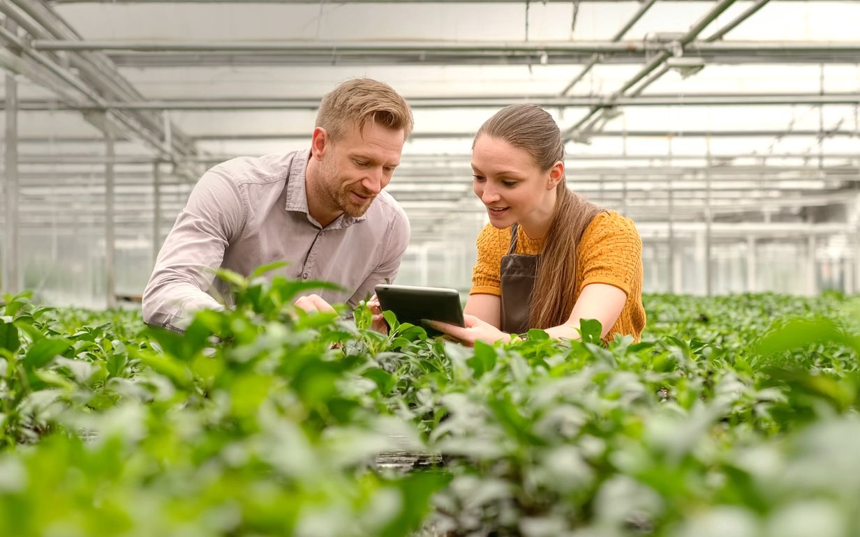 Building a Production-Ready AI Engine for a Global Agri-Business Leader