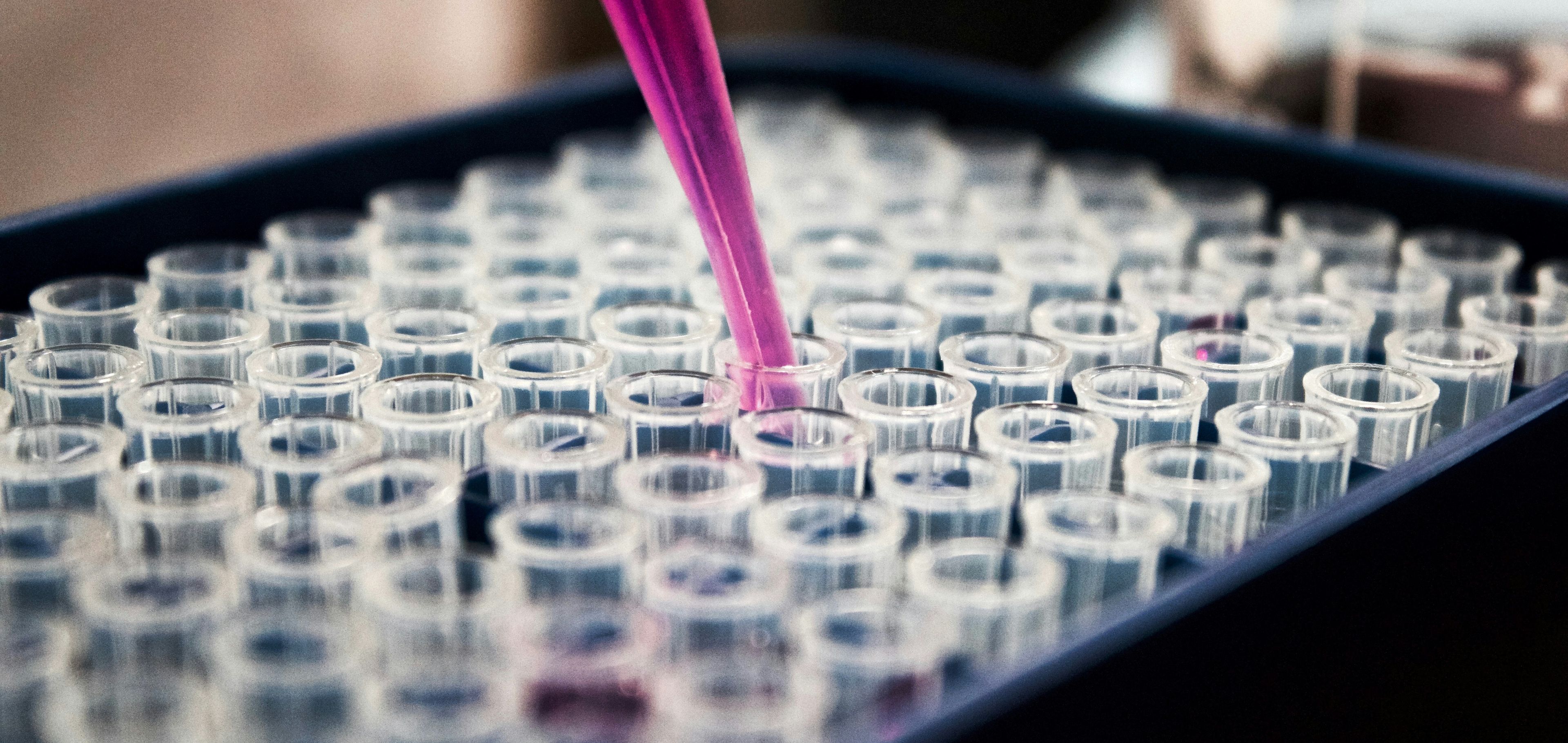 How Azelis developed its first digital marketing strategy and built new digital capabilities