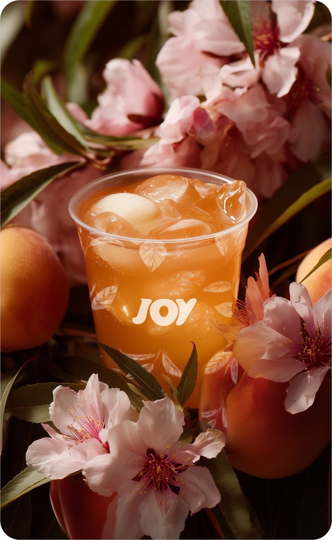 Osmanthus Oolong White Peach