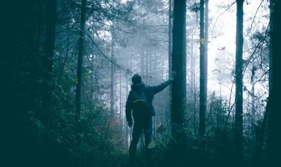 Seeing the Wood for the Trees: A Gentle Dive into an NLP Presupposition