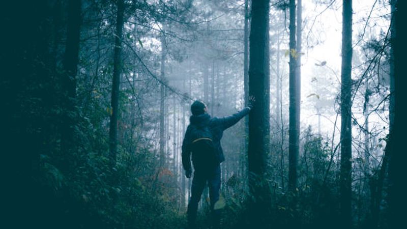 Seeing the Wood for the Trees: A Gentle Dive into an NLP Presupposition
