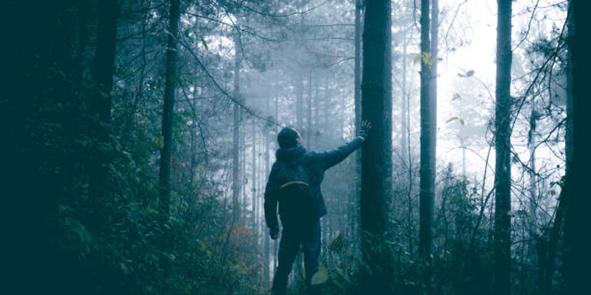 Seeing the Wood for the Trees: A Gentle Dive into an NLP Presupposition