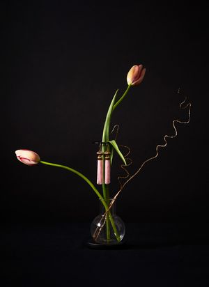 Two flowers with long stems in a small vase in front of a black background