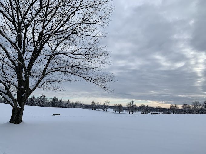 Morven Park Graounds