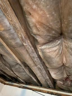 crawl space foundation problems what youre not seeing might hurt you