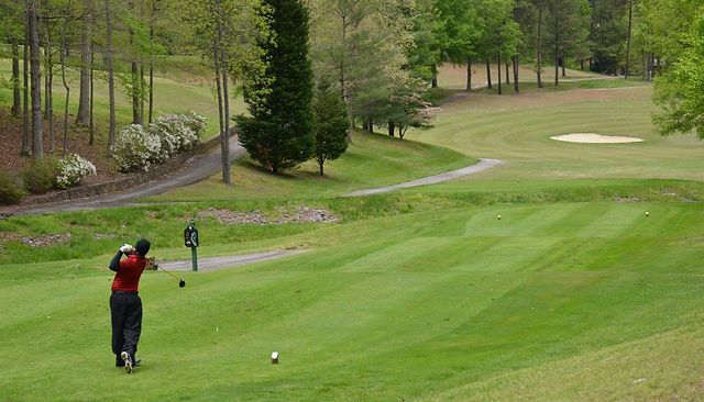 Goodyear Golf Club, Danville VA