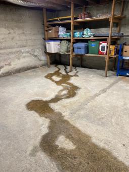 waterproof flooring options for flood prone basements