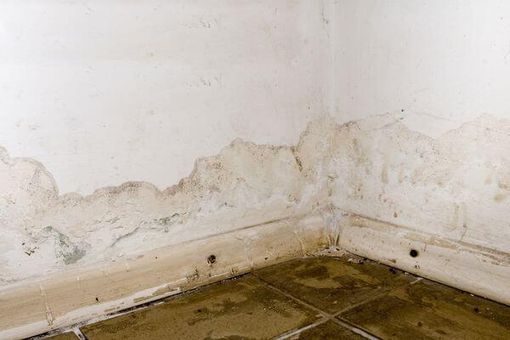 basement waterproofing how to prevent flooding mold troutville va