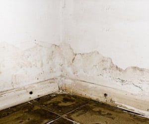 basement-leaks-seal-tite-basement-waterproofing-1