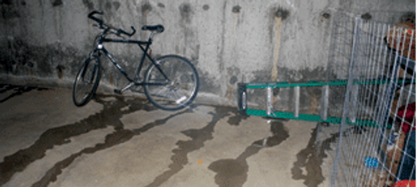 understanding basement leaks and their impact on home health