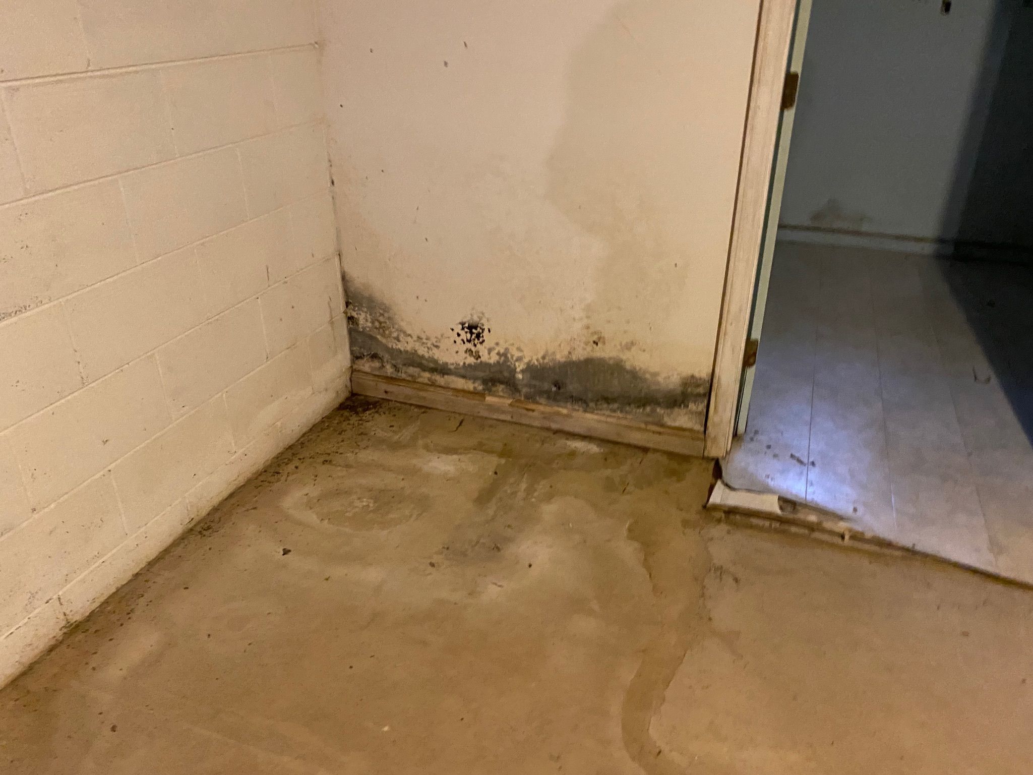 basement waterproofing