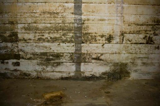 basement waterproofing benefits 5 compelling reasons for a dry durable space