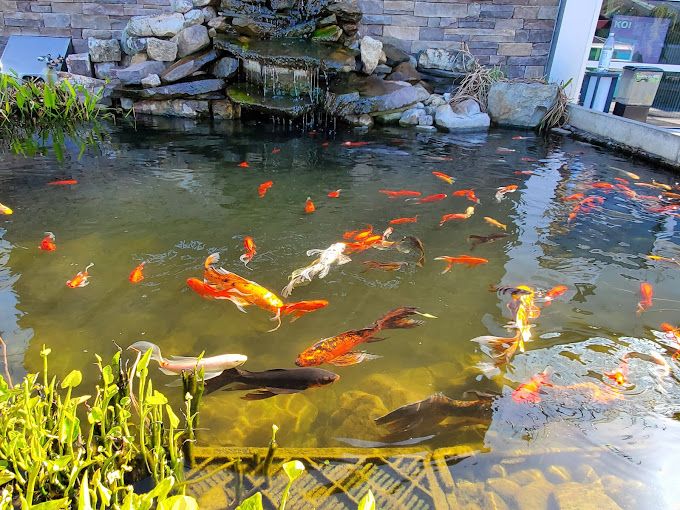 Center In The Square