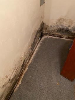 how modern basement waterproofing enhances home value