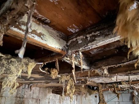 common mistakes in diy crawl space waterproofing