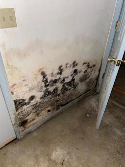 how expensive is vinyl waterproof flooring for basements