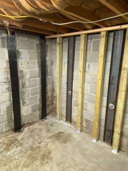 how tree roots threaten your foundation hidden risks in your yard