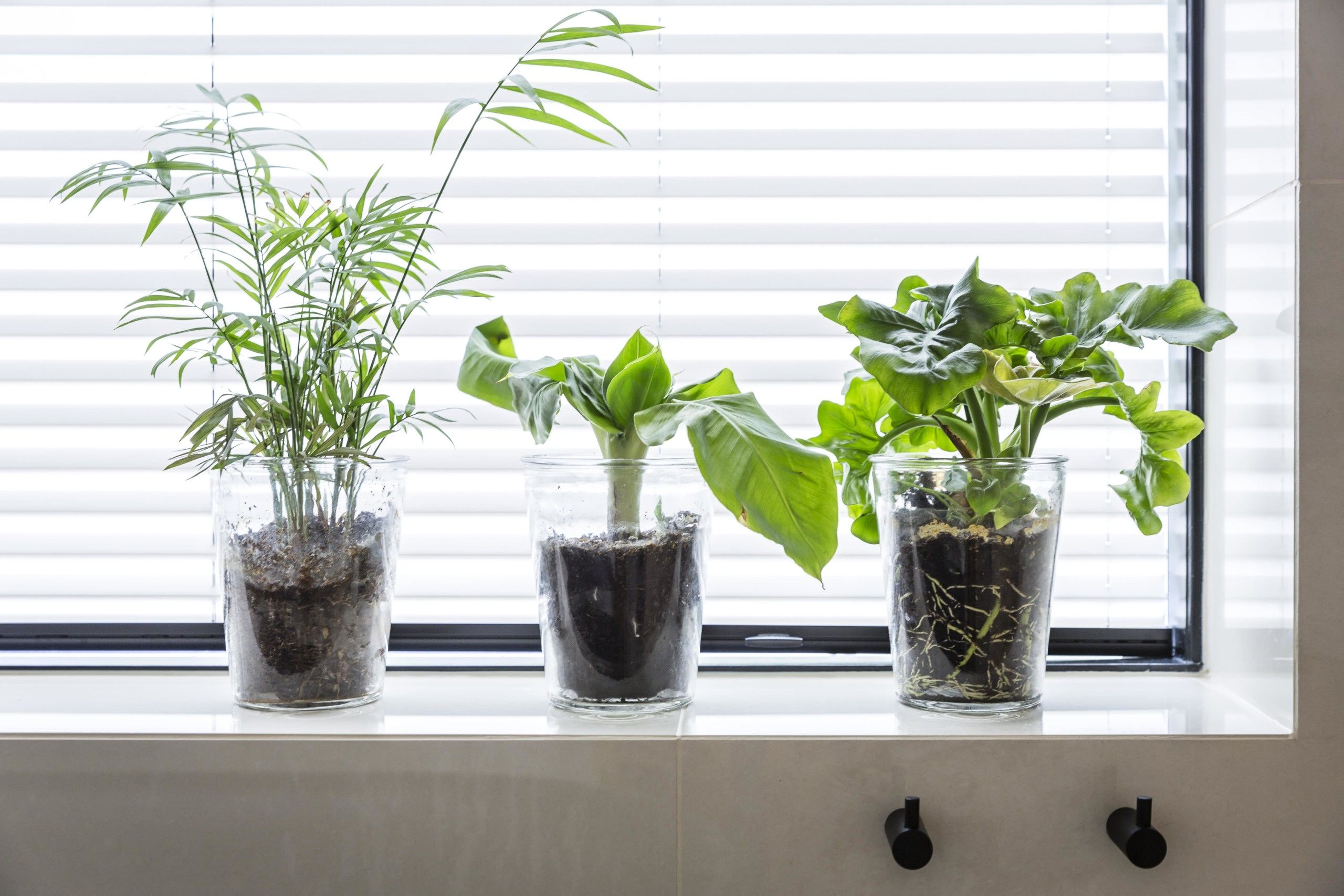 Detaljbilde av bad med grønne planter, utført av Lomundal.