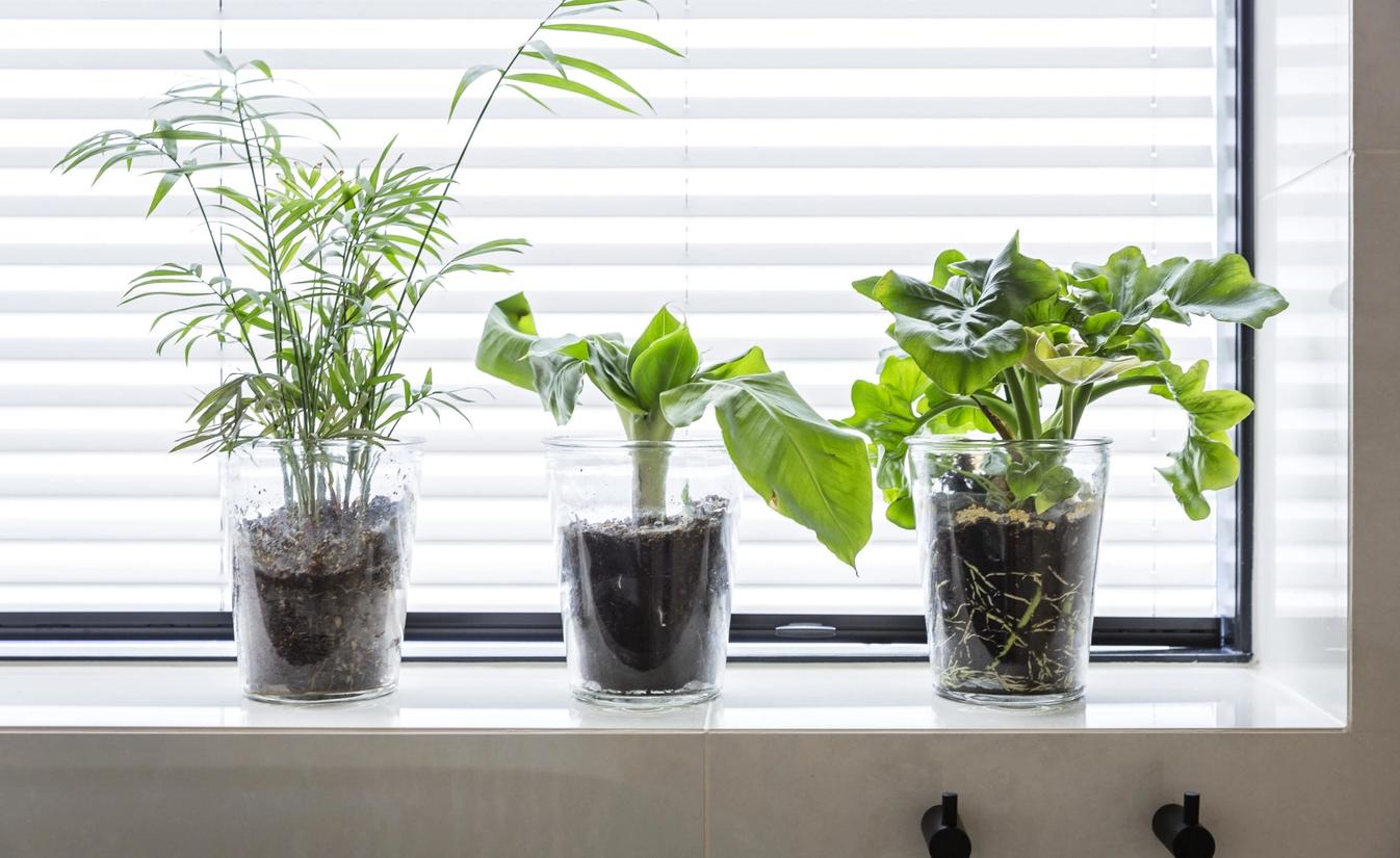 Detaljbilde av bad med grønne planter, utført av Lomundal.