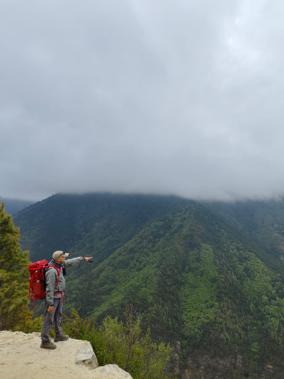 What the Langtang Valley Trek Actually Costs in 2026
