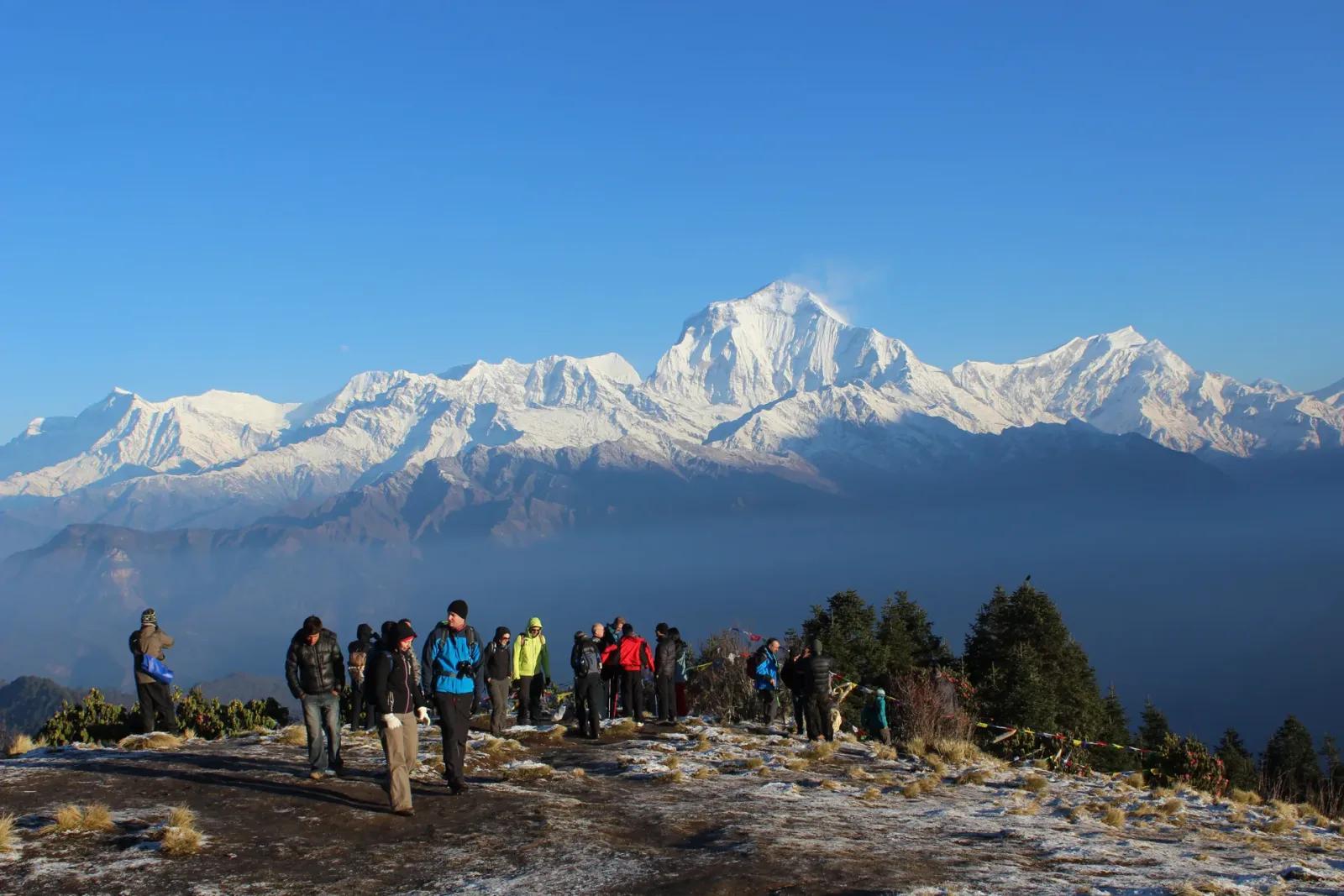 Trekkers crossing the frost-dusted summit plateau of Poon Hill just after sunrise, with Dhaulagiri and the Annapurna range filling the skyline behind them