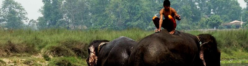 Jungle Safari Package (3N/4D)