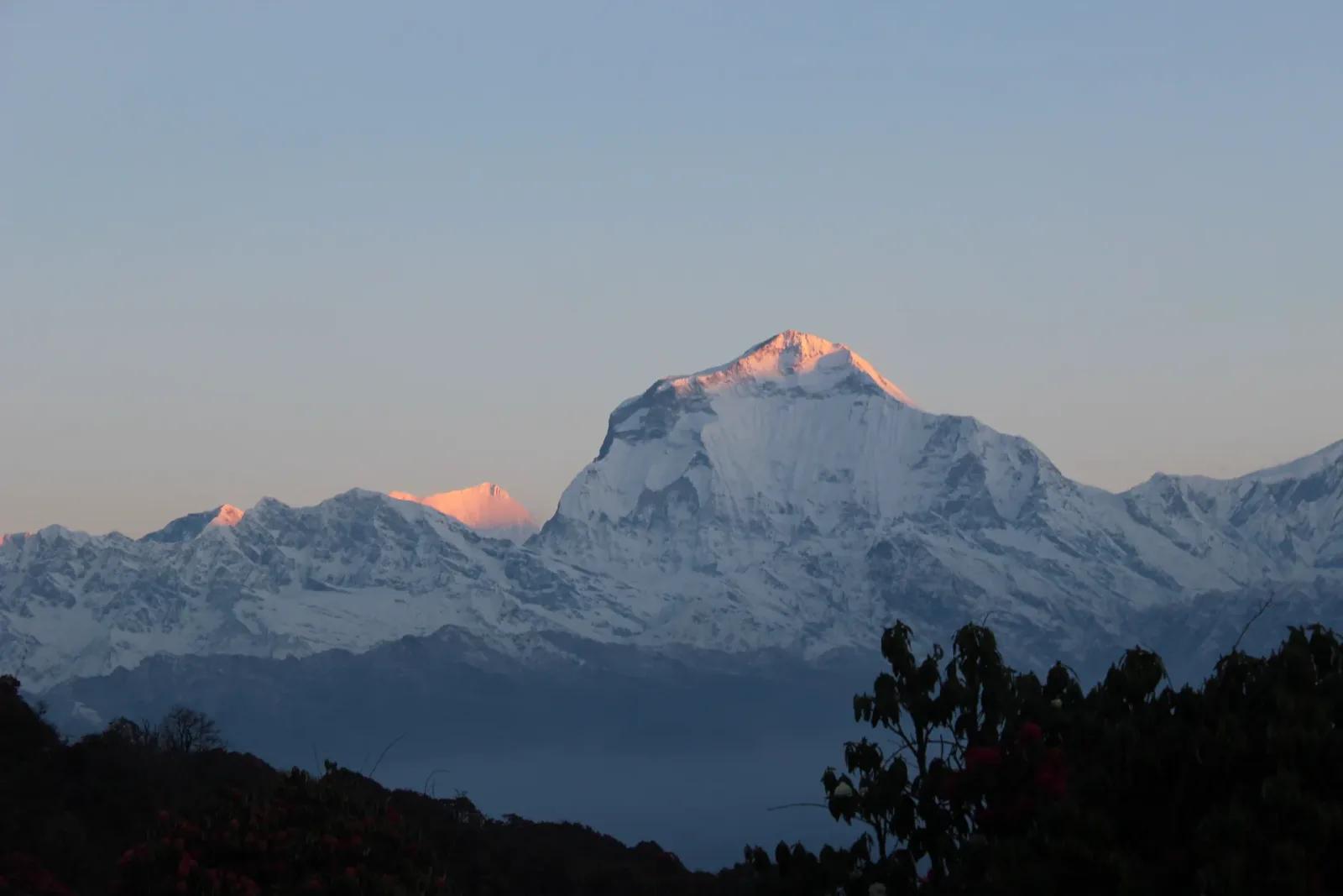 Dhaulagiri im ersten Morgenlicht, vom Poon Hill aus gesehen, dem Aussichtspunkt am letzten Abschnitt des Annapurna Circuit