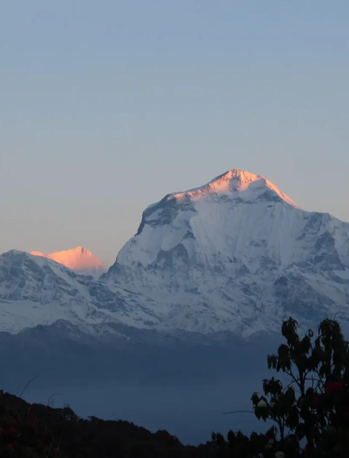 Dhaulagiri im ersten Morgenlicht, vom Poon Hill aus gesehen, dem Aussichtspunkt am letzten Abschnitt des Annapurna Circuit