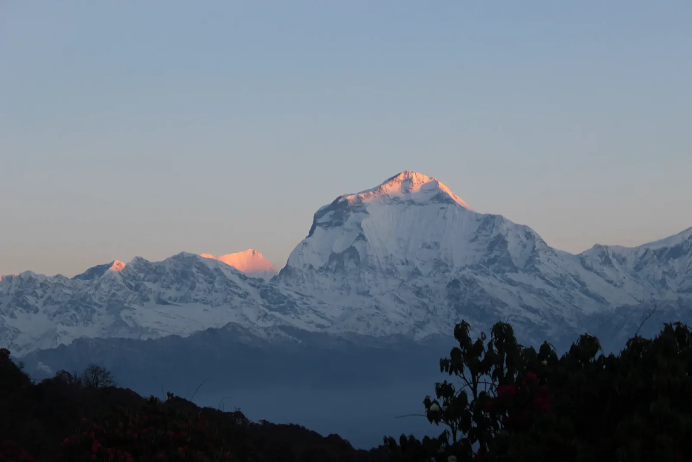 Dhaulagiri im ersten Morgenlicht, vom Poon Hill aus gesehen, dem Aussichtspunkt am letzten Abschnitt des Annapurna Circuit