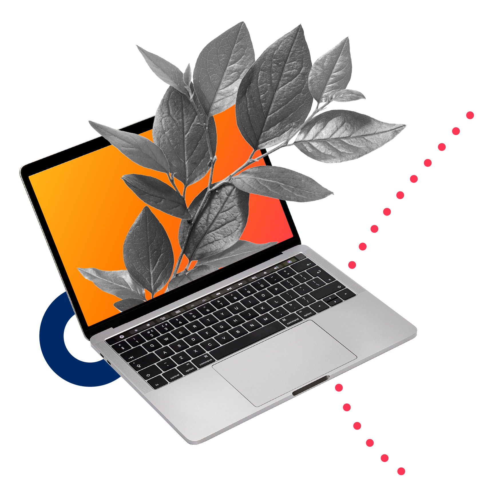 A leafy branch springs out of a laptop screen - Aiven Sustainability