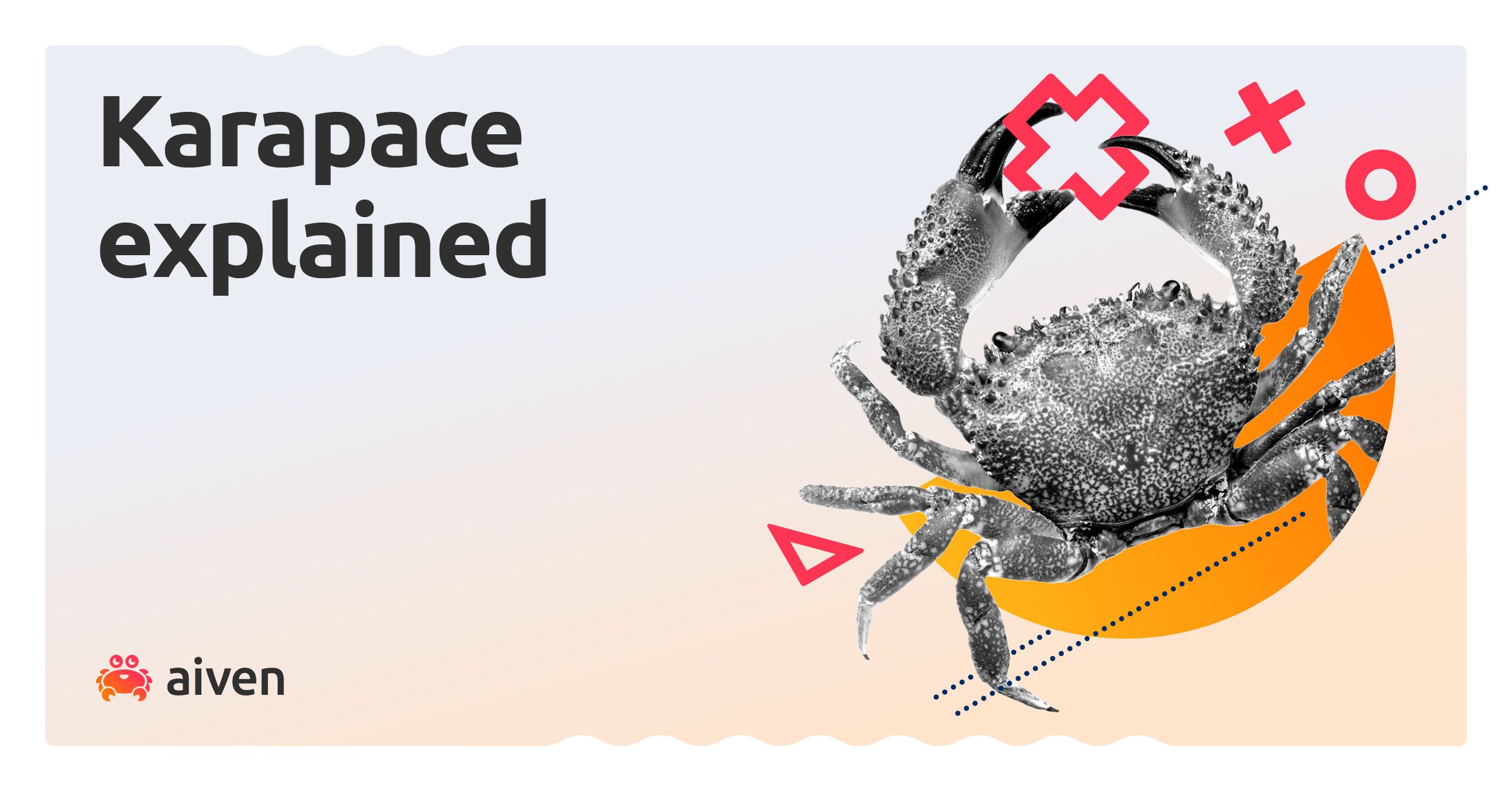 What is Karapace? illustration