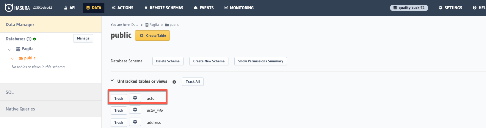 Track PostgreSQL table in Hasura