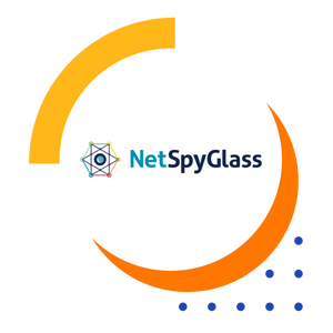 NetSpyGlass-logo-image-composition.png