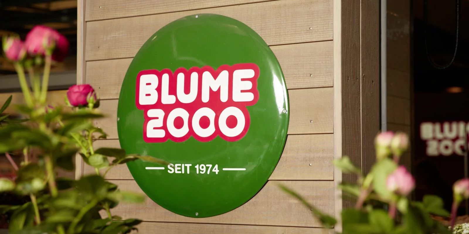 blume-2000-zeitung-motiv_01_v02-emailschild-07_beitragsbild.webp