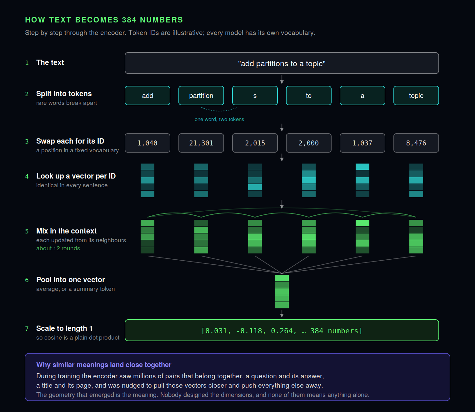 Seven steps inside an encoder: the text is split into tokens, each token becomes an ID, each ID becomes a vector, context is mixed in over about 12 rounds, the vectors are pooled into one, and the result is scaled to length 1, giving 384 numbers.