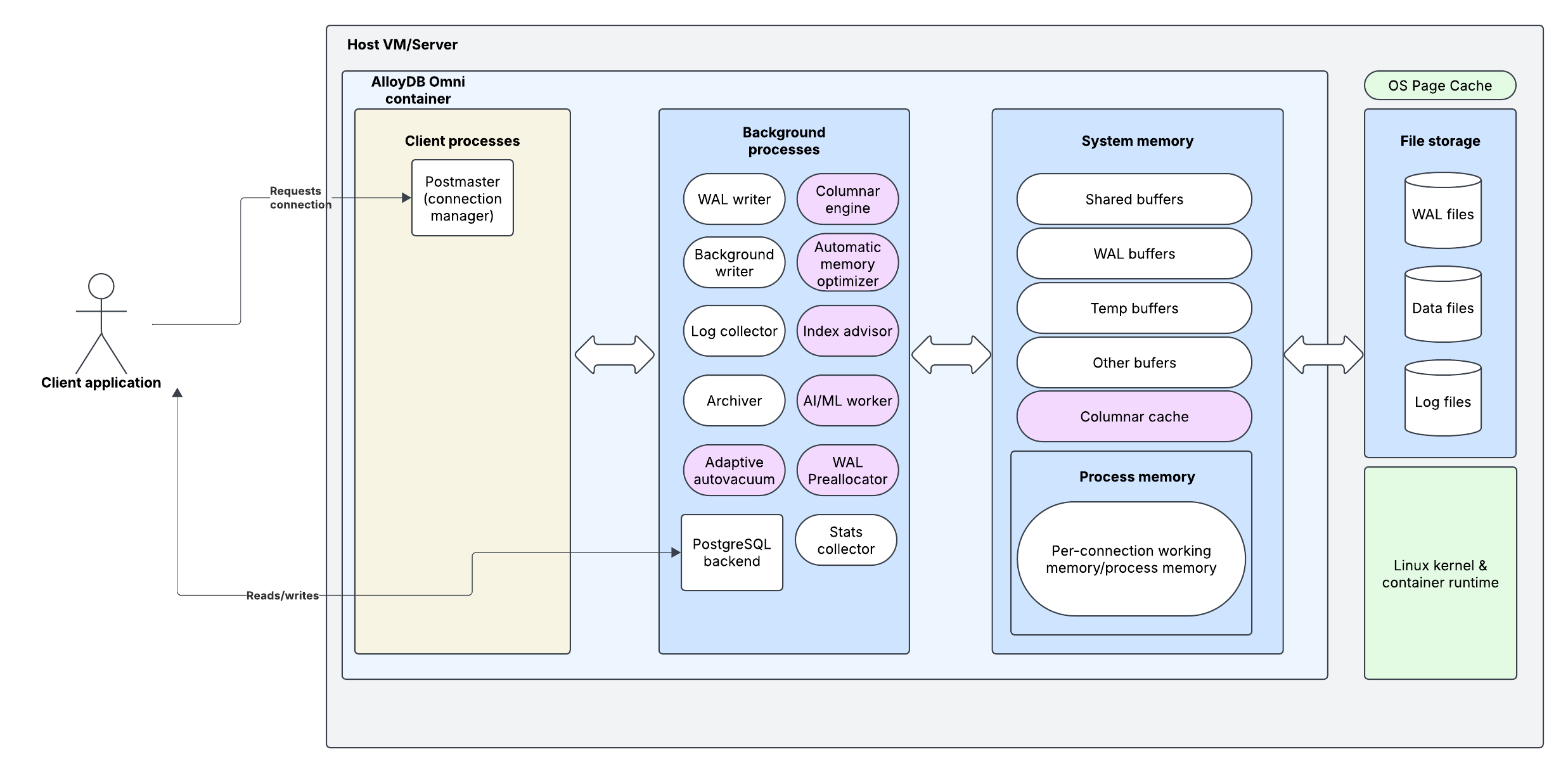 An architecture diagram describing AlloyDB Omni's architecture. It is the same as PostgreSQL's architecture, with the addition of more background processes. Everything except the file storage runs inside a container, with the file storage occuring directly on disk. All of this, including the file storage, runs inside a VM.