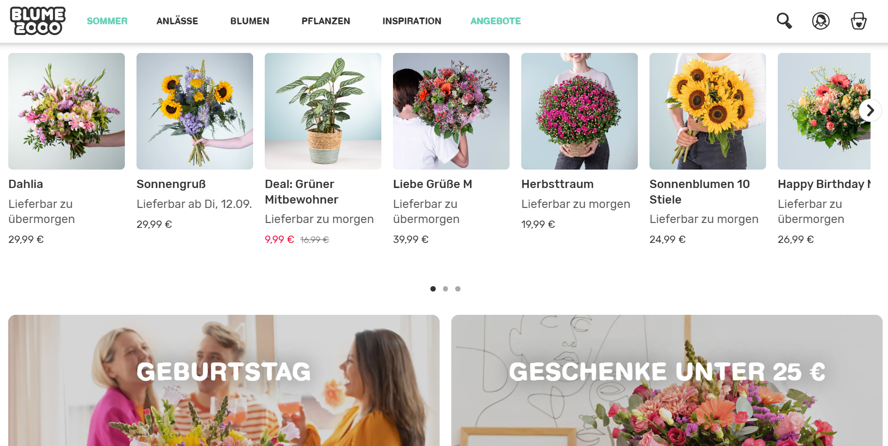 Blume2000 Online-Shop.png